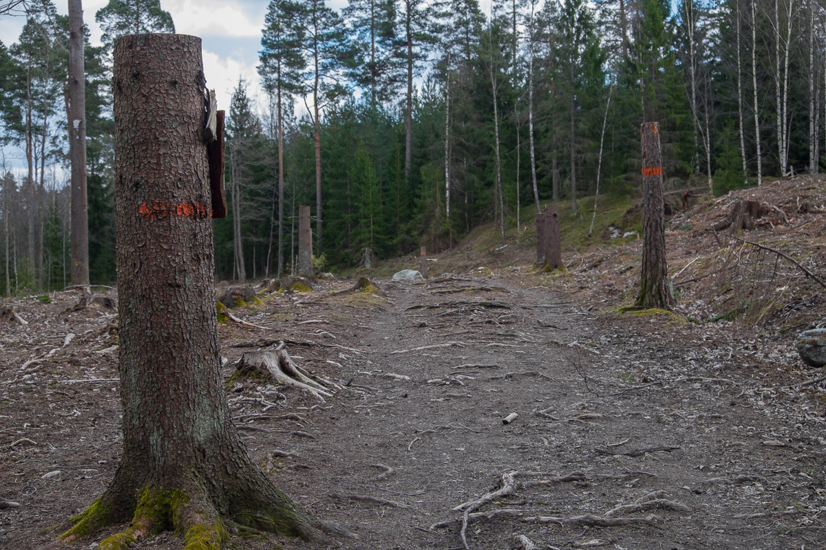 #334 Utmärkt (83/365)