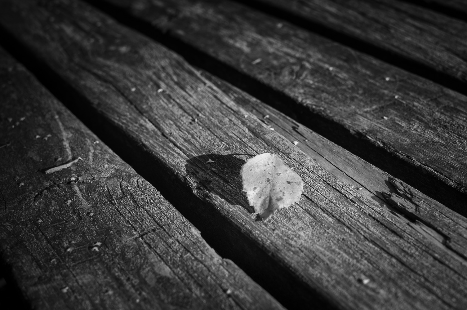 Bridge2016w40bw